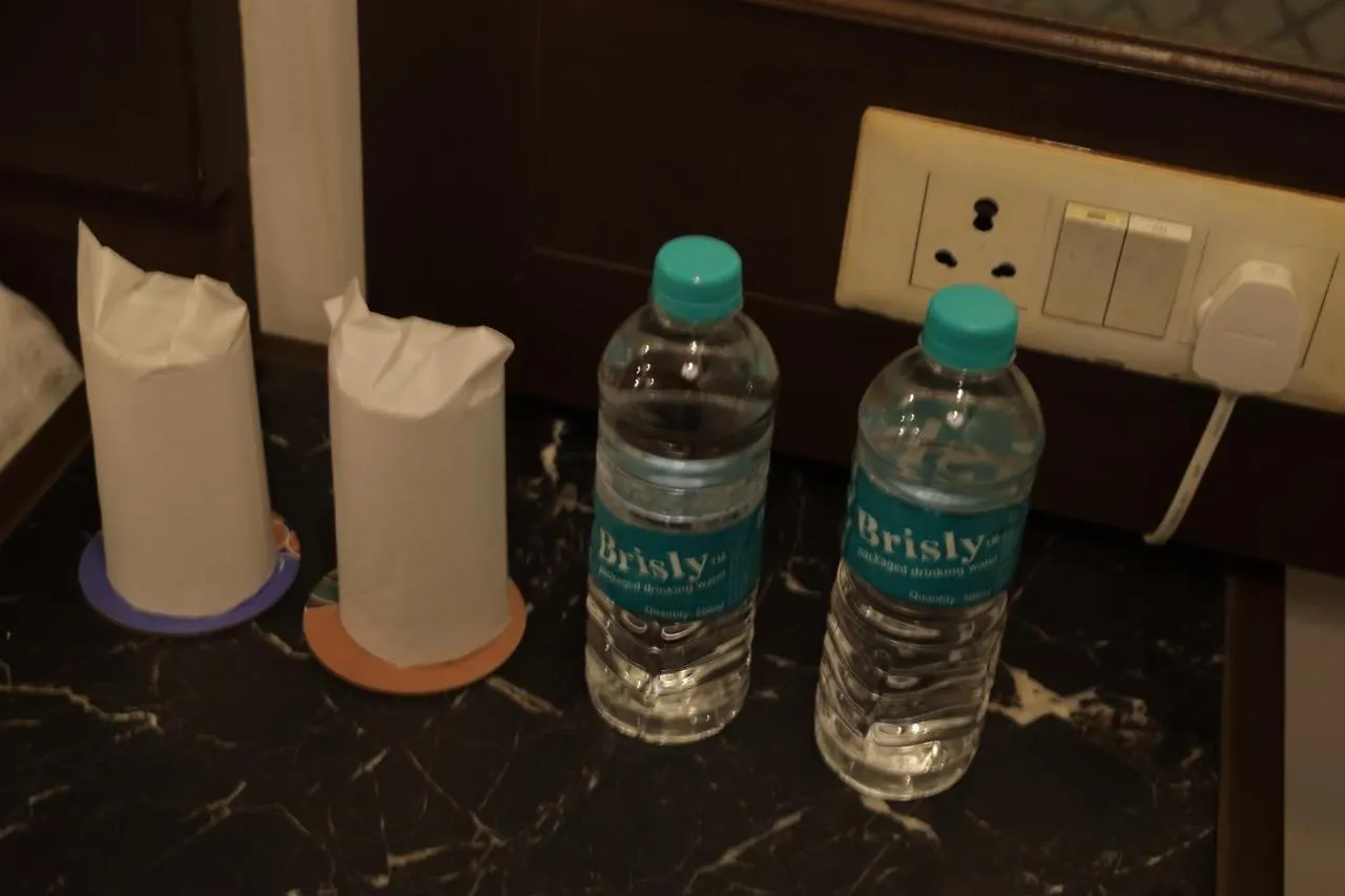 Airport Hotel Bollywood Paradise New Delhi